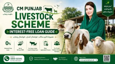 CM Punjab Livestock Scheme - Interest-Free Loan Guide